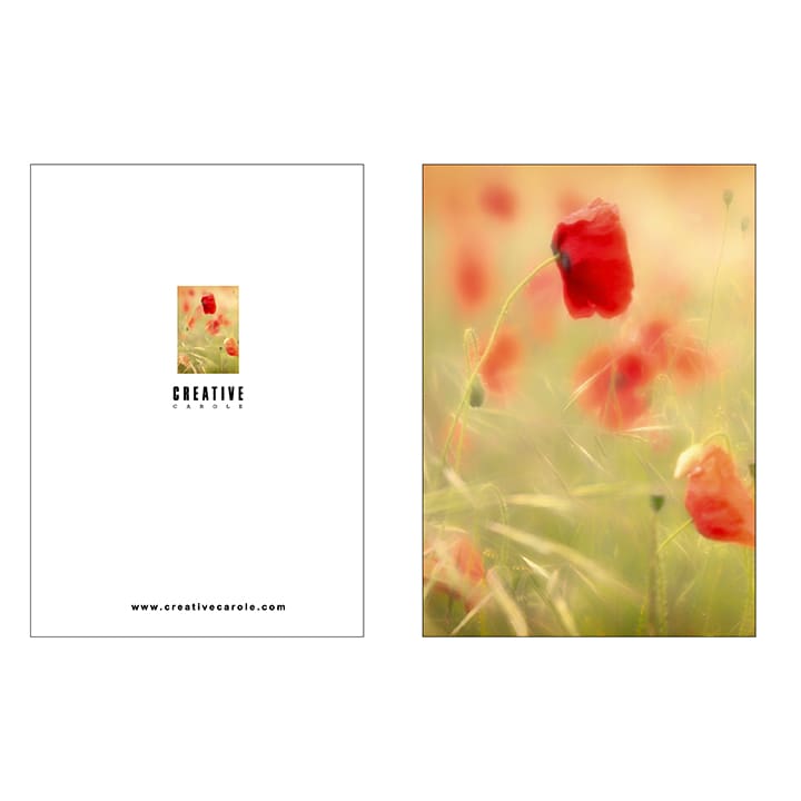 A5 Notebooks
