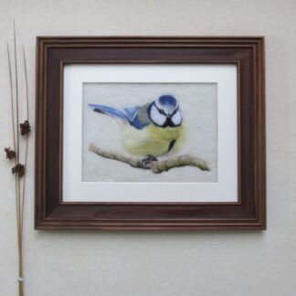 Little bird with blue wings and yellow breast perched on a branch. The bird has a white face with black stripes across the eyes and a blue crown.
