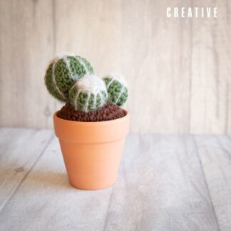 Handmade crochet ball cacti
