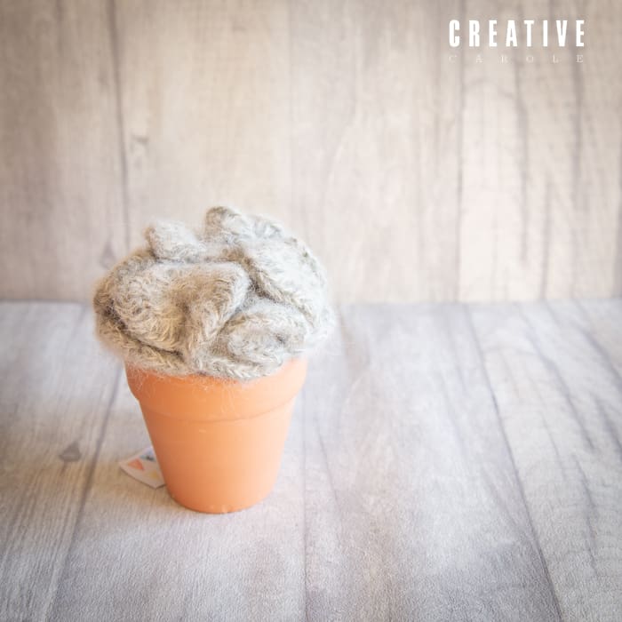Handmade crochet cacti
