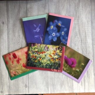 Greeting Cards: Flower Power