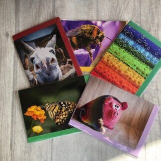 Greeting Cards: Fun and Colourful