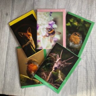Greeting Cards: Wildlife