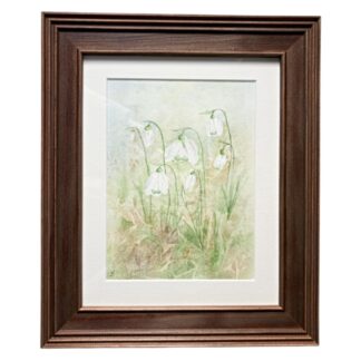 Clump of Snowdrops above a leafy floor painted in watercolour. Dark wood frame