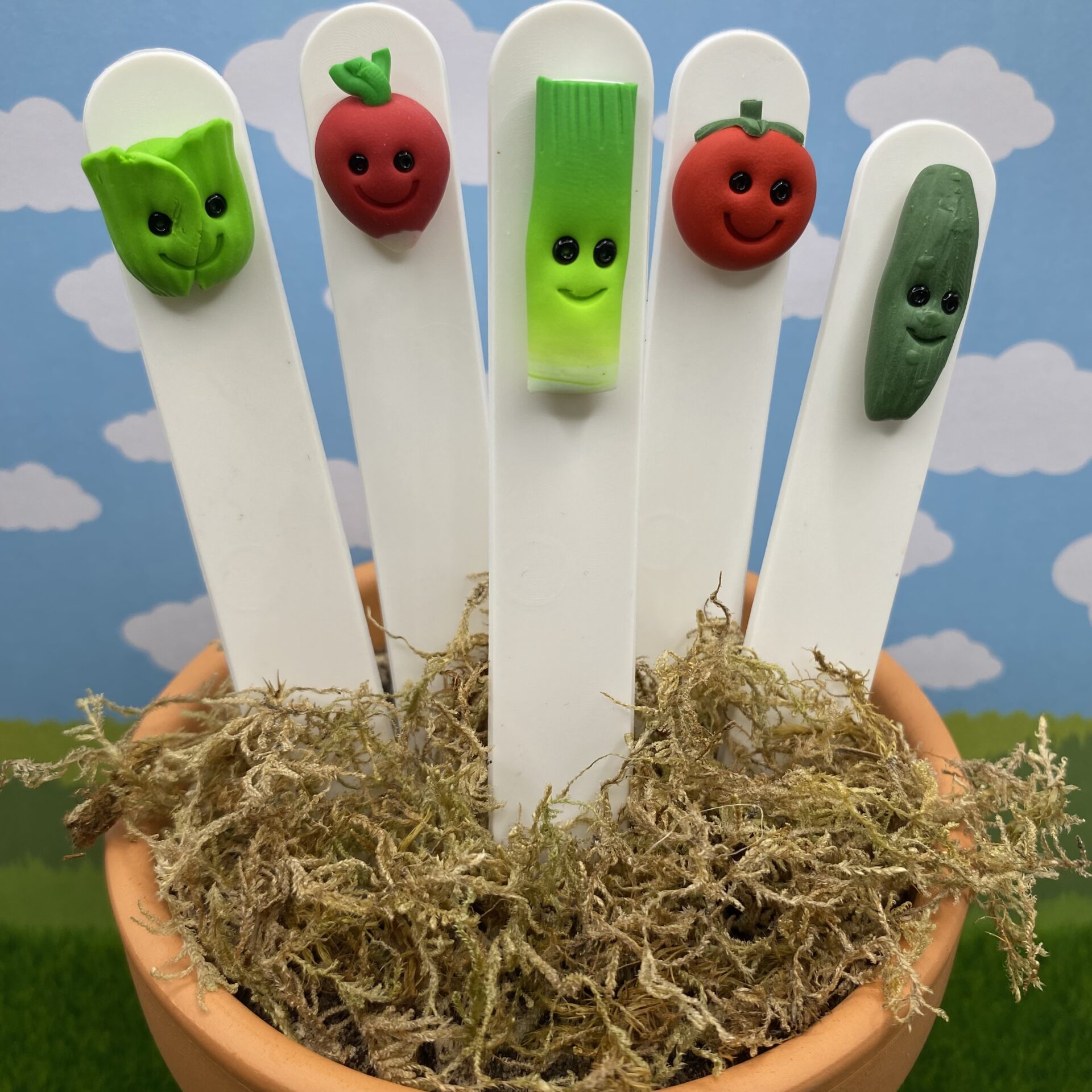 Set of 5 Salad Plant Labels – 6 Inch Custom Reusable Garden Stakes - Image 7