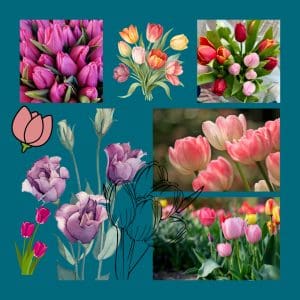 A mood board based on tulips