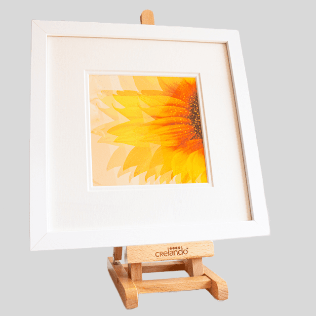 Framed Photograph of Multiple Exposure of Sunflower - Image 2