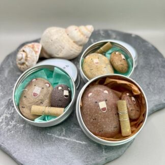 Pair Bears - SEN/separation anxiety/worry stones/anxiety/comfort/pocket pebble