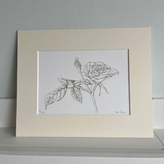 Sepia style print of original art standing on a shelf. A single stem rose with one flower in bloom and the other a bud. Presented in a cream coloured mount