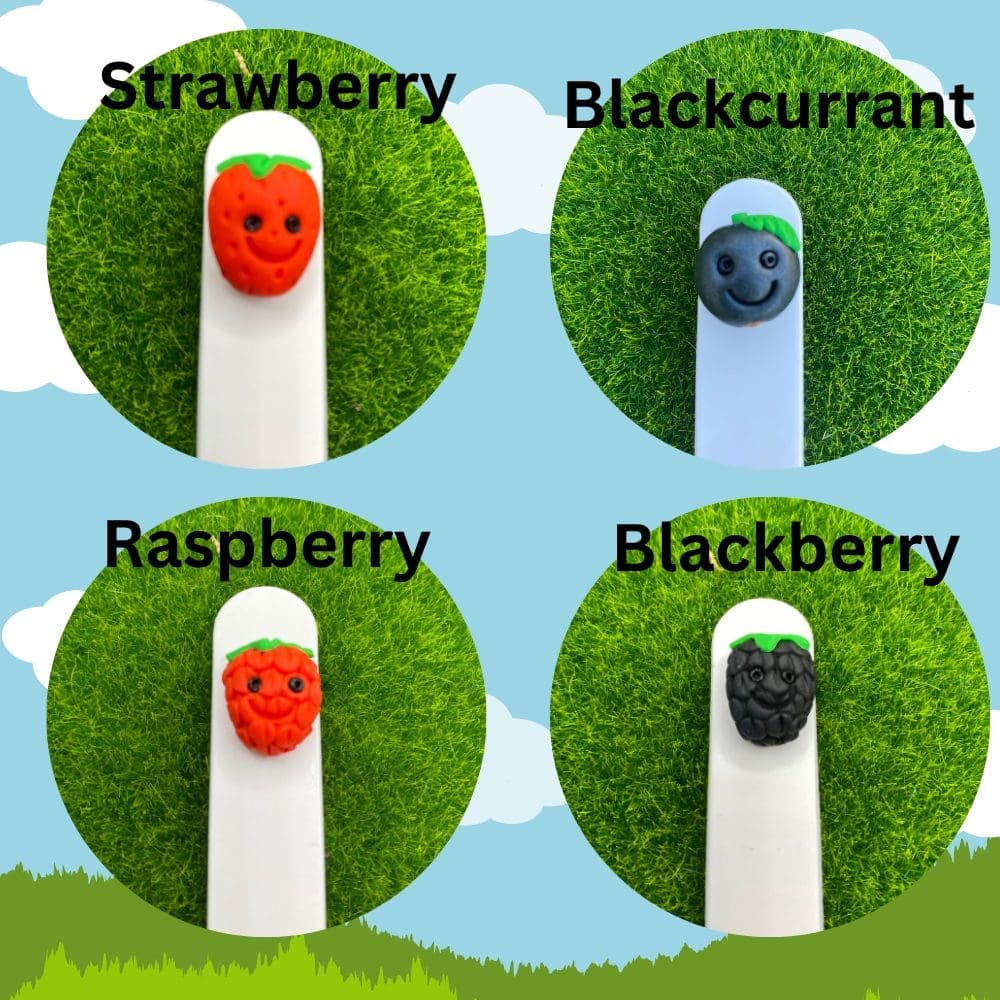 Set Of 6 Berry Plant Labels - 6 Inch Custom Garden Markers - Image 2
