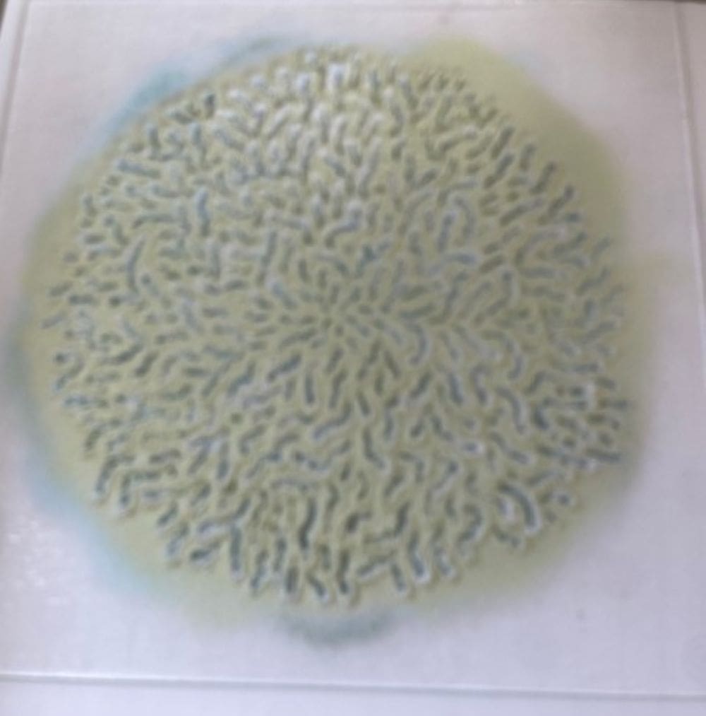 Coral inspired Medium Glass Bowl - Image 3