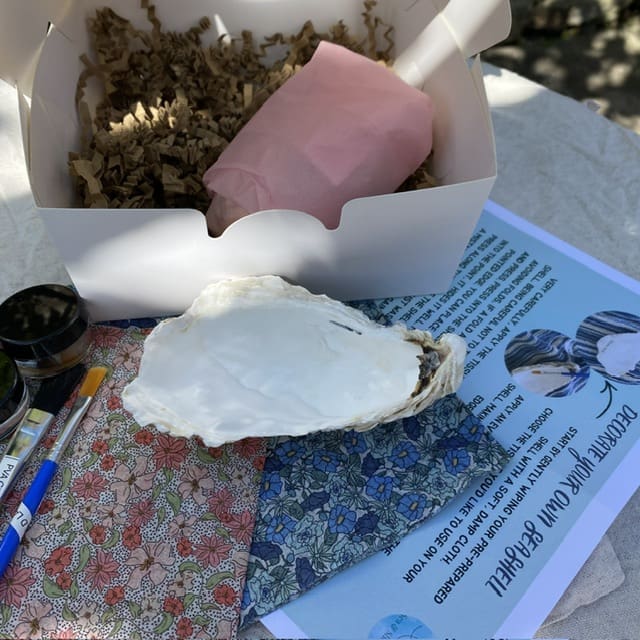 Decorate your own Sea Shell Kit - Various designs - Image 4