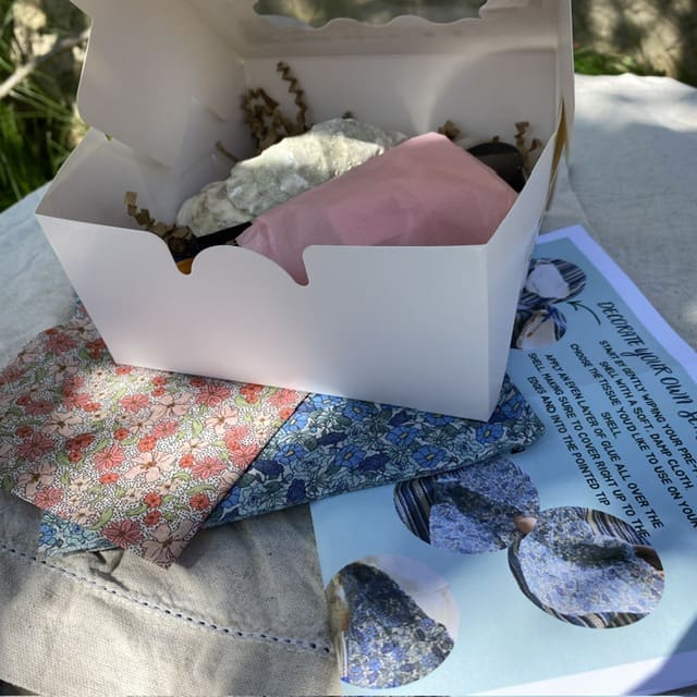 Decorate your own Sea Shell Kit - Various designs - Image 2
