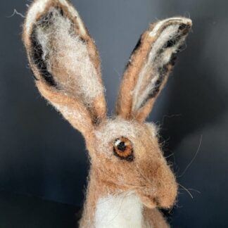 Standing hare
