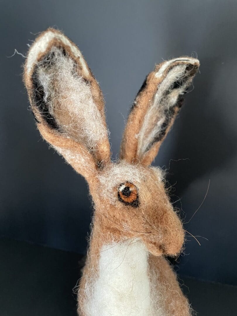 Standing hare
