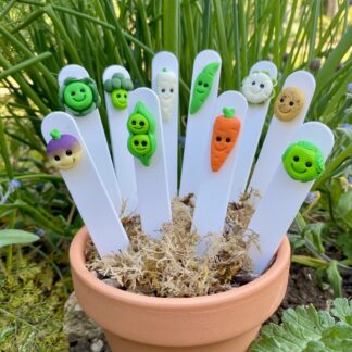 Cartoon style plant labels. Kawaii style vegetables handmade to represent each vegetable with cute smiling faces, on a white plastic marker. Picture includes - cauli, carrot, potato, peas, swede and brocolli