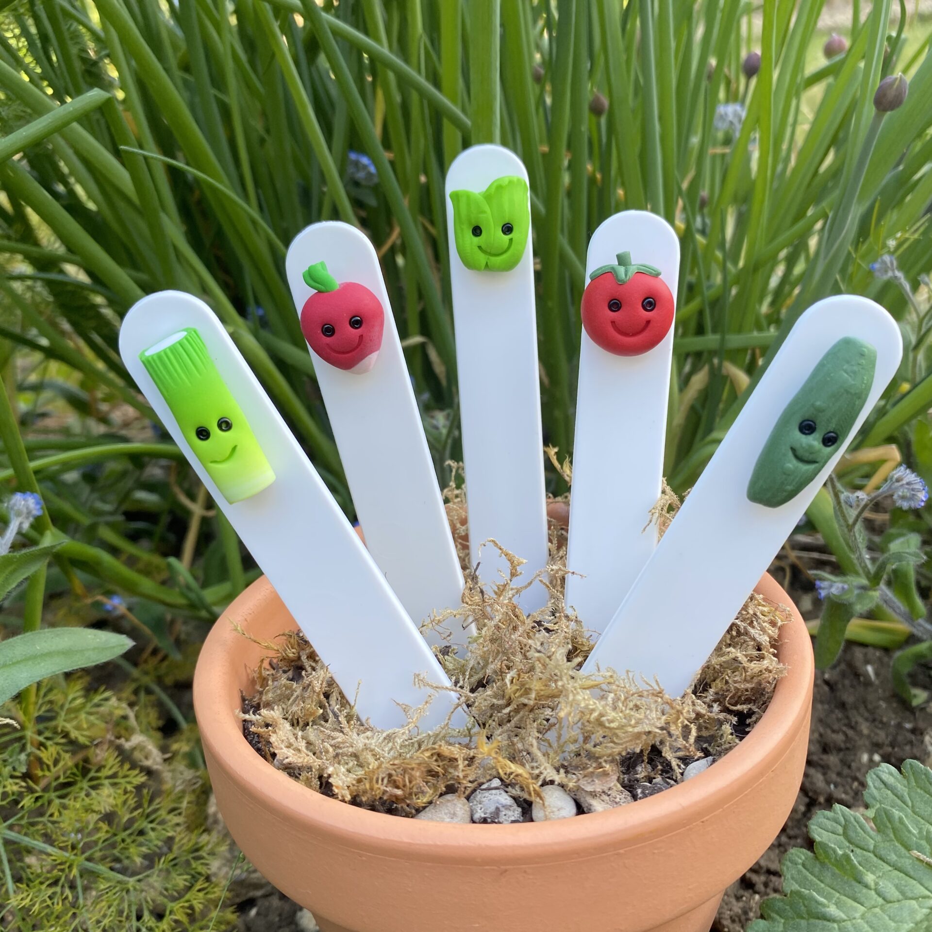 Set of 5 cartoon style plant labels. Kawaii style vegeatbles handmade to represent each vegetable with cute smiling faces, on a white plastic marker. Set includes - lettuce, radish, tomato, cucumber, spring onion