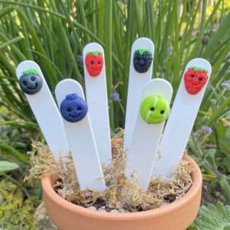 Set of 6 cartoon style plant labels. Kawaii style vegeatbles handmade to represent each vegetable with cute smiling faces, on a white plastic marker. Set includes - Gooseberry, Raspberry, Blackberry, Strawberry and blackcurrant Blueberry.