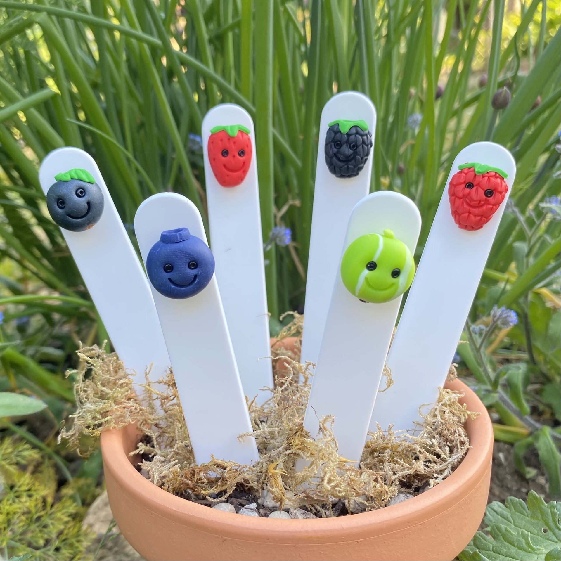 Set of 6 cartoon style plant labels. Kawaii style vegeatbles handmade to represent each vegetable with cute smiling faces, on a white plastic marker. Set includes - Gooseberry, Raspberry, Blackberry, Strawberry and blackcurrant Blueberry.