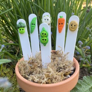Set of 6 cartoon style plant labels. Kawaii style vegeatbles handmade to represent each vegetable with cute smiling faces, on a white plastic marker. Set includes - cauli, carrot, potato, peas, beans and brocolli