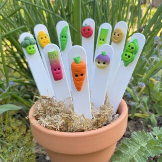 Cartoon style plant labels. Kawaii style vegetables handmade to represent each vegetable with cute smiling faces, on a white plastic marker. Picture includes - cauli, carrot, potato, peas, swede and brocolli