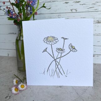 Greetings card featuring five intertwined daisies, hand drawn in blank ink. Stands next to a pot of dainty flowers.