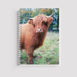 A spiral-bound notebook featuring a watercolor illustration of a Highland Cow with flowers on its head. The name "Sarah" is printed at the top in a clean black font on a white background.