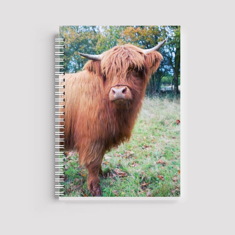 A spiral-bound notebook featuring a watercolor illustration of a Highland Cow with flowers on its head. The name "Sarah" is printed at the top in a clean black font on a white background.