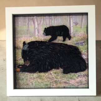 A white square box frame of a bear photo. There is a mother laying down and a baby walking behind. The bears have been quilled to make the image 3D.