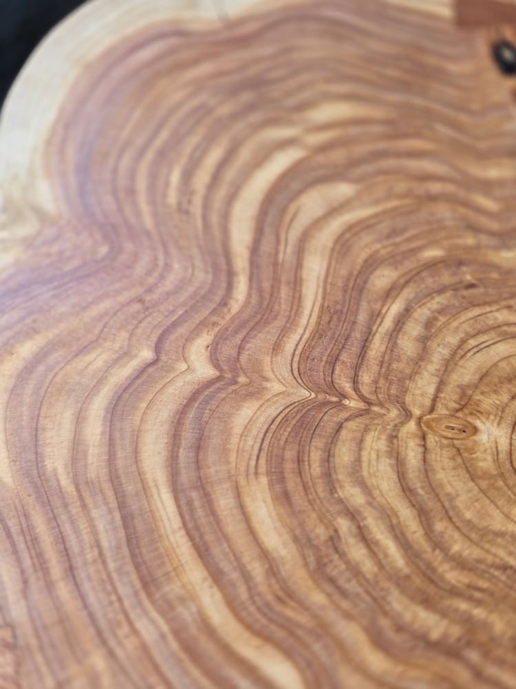 Handcrafted Cedar Slice Statement Side Table - Image 7