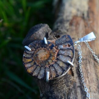 Hematite infused Fossil Ammonite Pendant