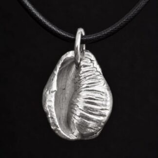 Silver Cowrie Shell Necklace