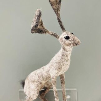 Quirky Hare