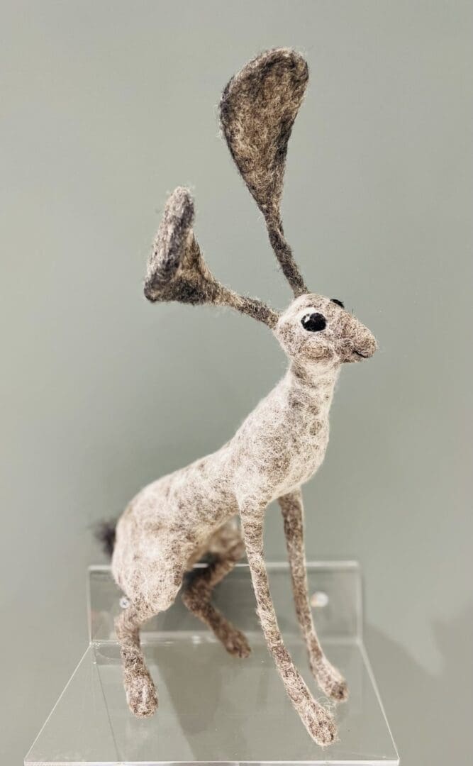 Quirky Hare
