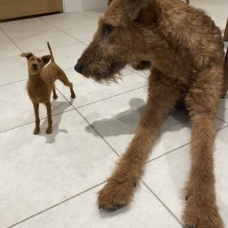 Custom made dog