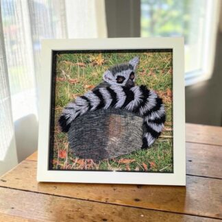 A photograph of a ring tailed lemur sitting on the grass. It's tail is wrapped around it's body and the animal ahs been quilled to make it 3D. It is in a white box frame
