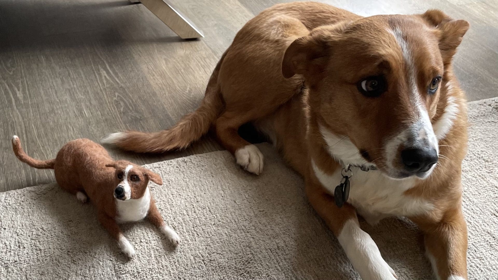 Custom made dog - Image 3